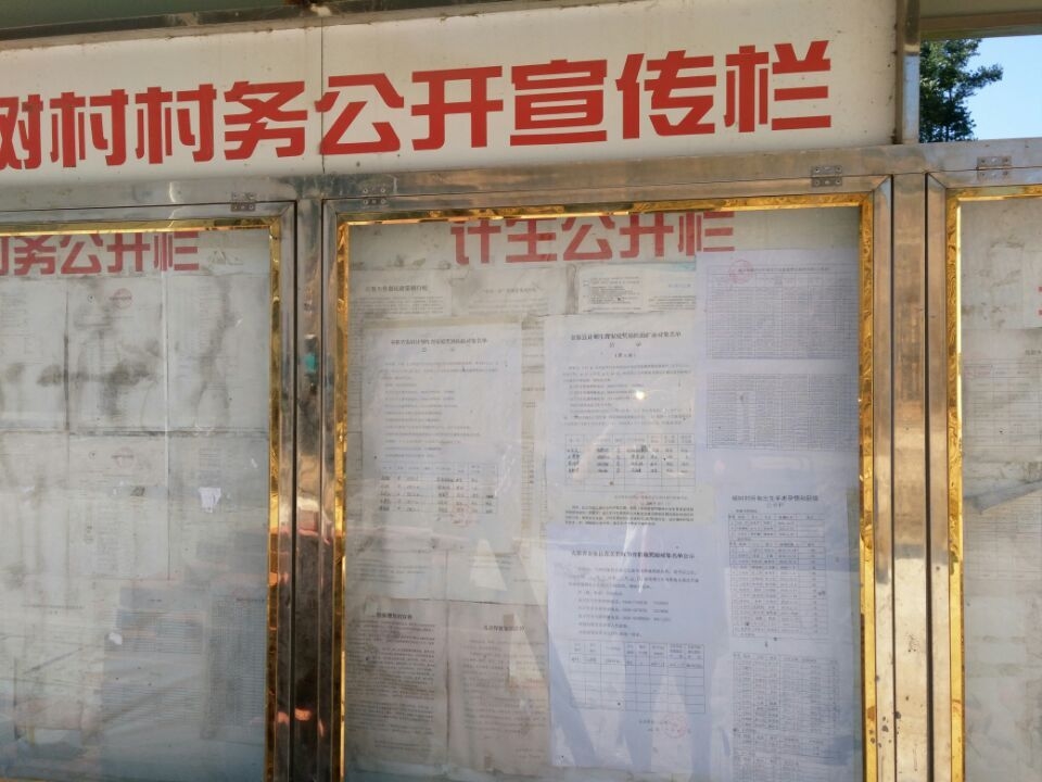 金寨县燕子河镇杨树村公开公示栏