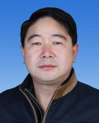 金寨县白塔畈镇党委委员副书记镇长陈伯权