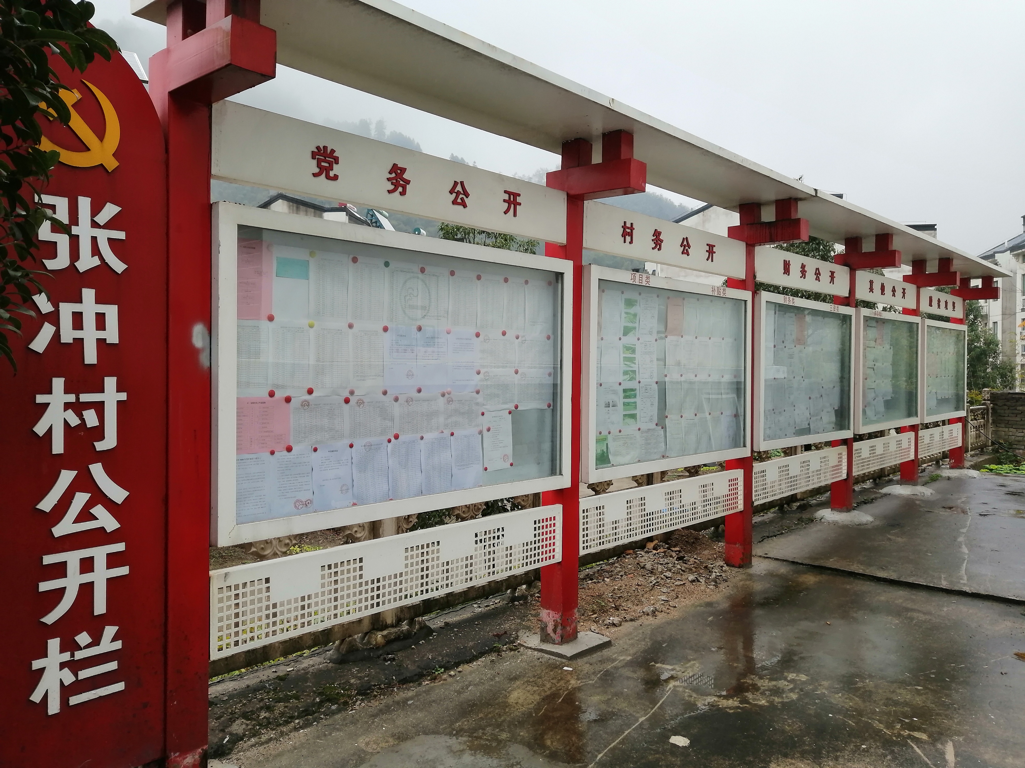 2020金寨县张冲乡张冲村政务公开栏