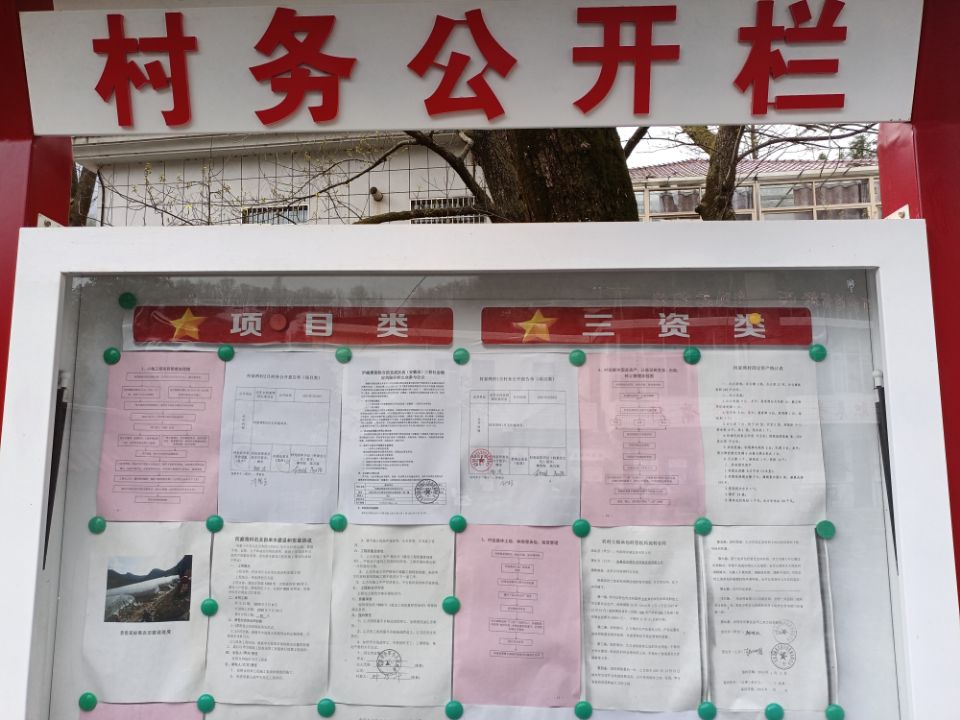 金寨县全军乡何家湾村第一季度村务公开