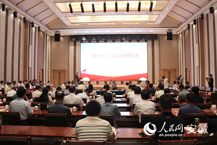 六安市“映山红”党建品牌研讨会在金寨县召开