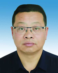 金寨县梅山镇党委副书记镇长李杰