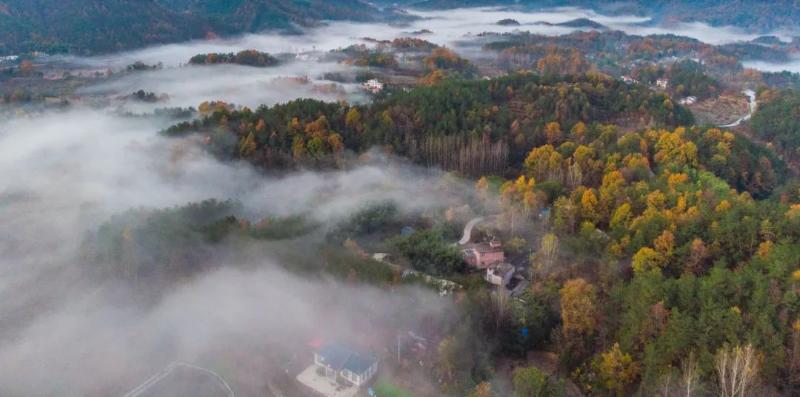 雾锁山川山锁雾