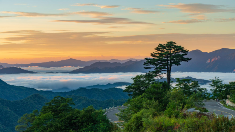 云蒸霞蔚马鬃岭