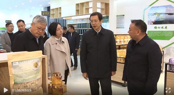 方正在金寨县调研时强调：牢记嘱托 感恩奋进 加快推动高质量发展