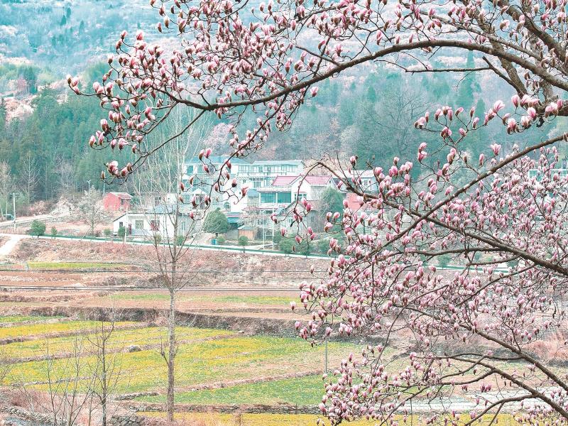 做足“花”文章