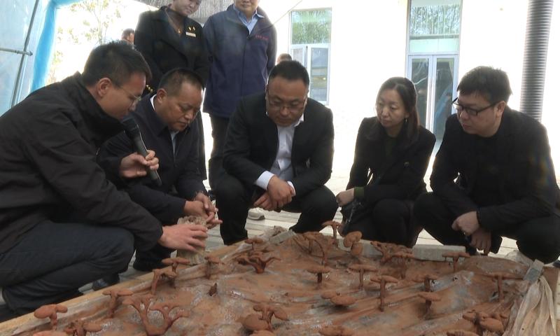 中国纺织品商业协会家纺家居专业委员会一行来我县考察