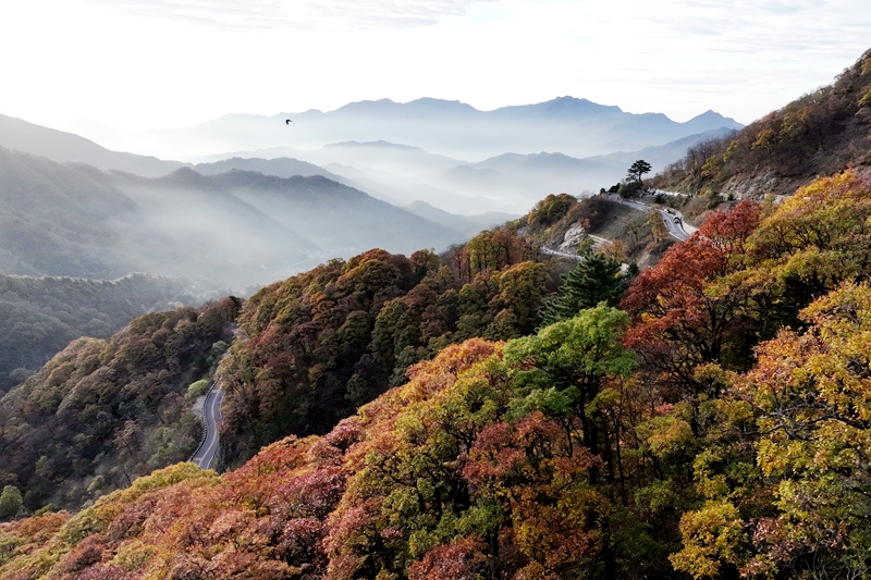 层林染秋意　赏秋正当时