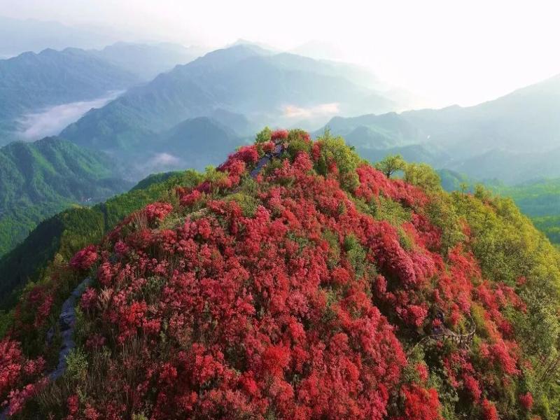 摸云山上映山红