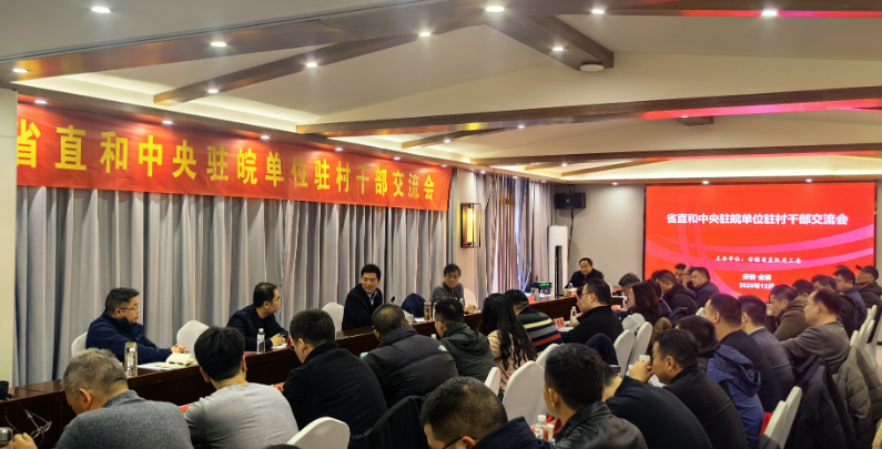 省直和中央驻皖单位驻村干部交流暨金寨县“金刚台村这十年”观摩活动在我县举行