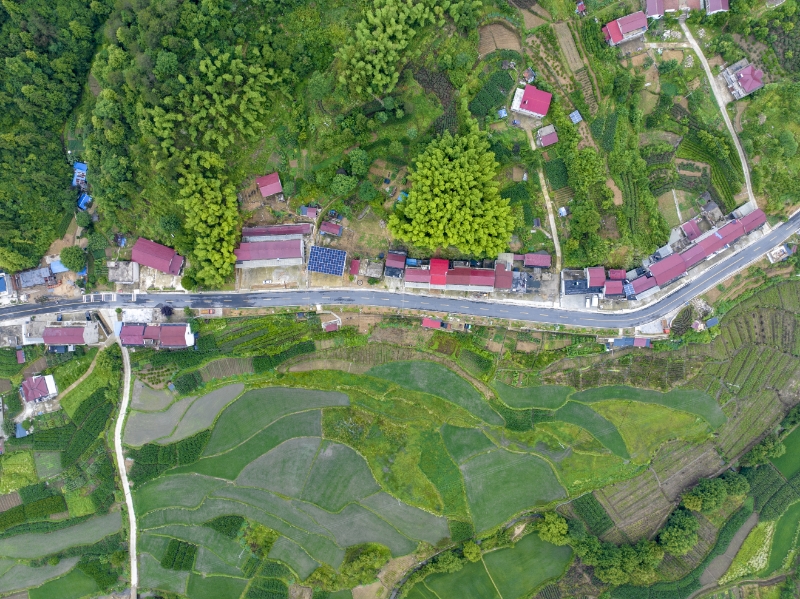 金寨县X226永佛至长山冲道路升级改造项目