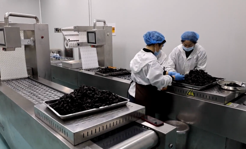 我县加大科研投入 引领黄精产业发展新局