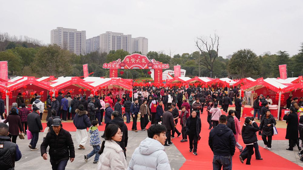 我县成功举办“马跃新春欢乐购·我把金寨带回家”主题年货大集