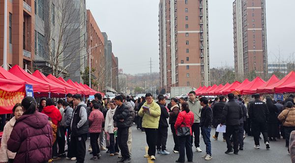 我县2026年“春风行动”招聘会火热开启