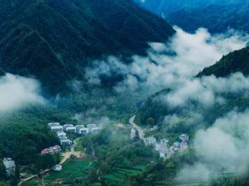 雨后青山湿