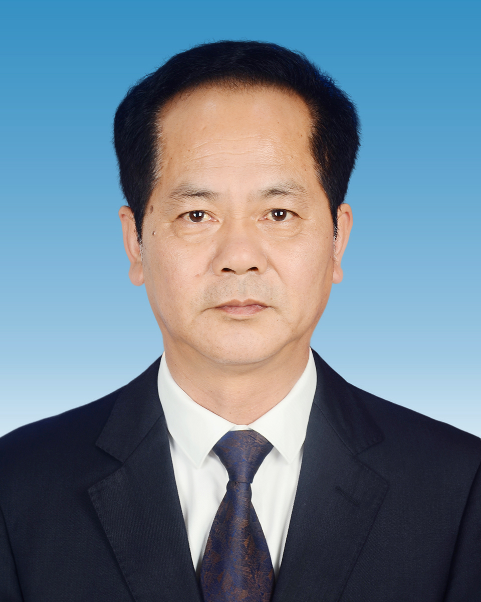 副县长：杨林涵
