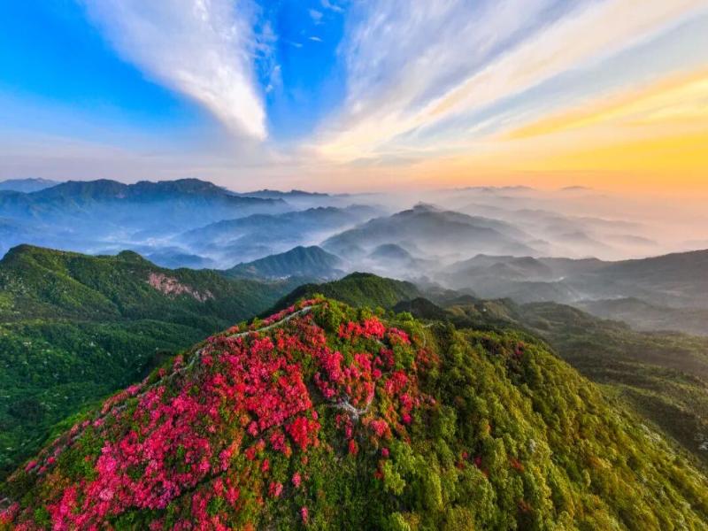 层峦叠嶂、杜鹃燃情