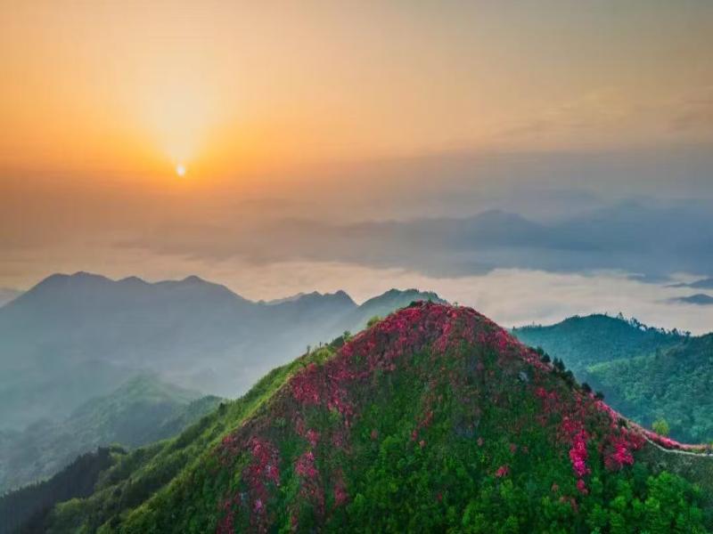 摸云山