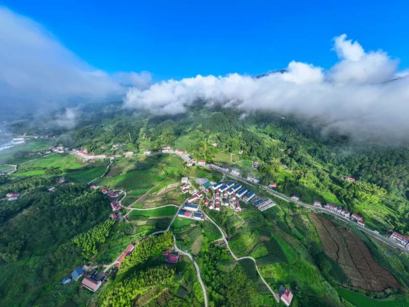 鸟瞰胜利村