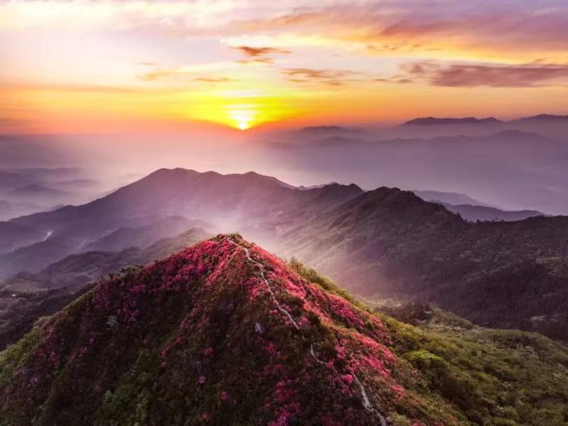 日出摸云山