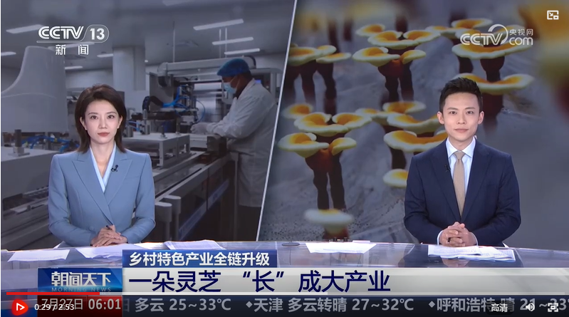 央视网《朝闻天下》：一朵灵芝“长”成大产业