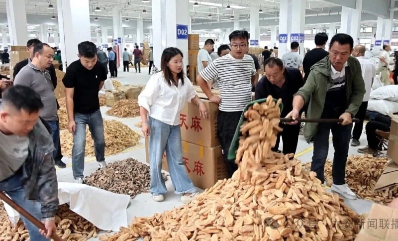 六安：“皋效安心”让企业省心又提速