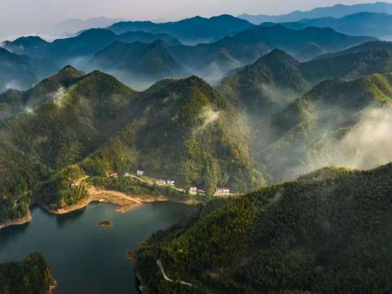 竹海深处有人家