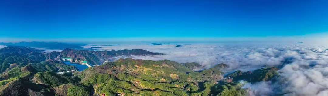 大林观海